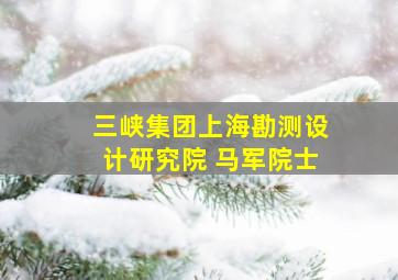 三峡集团上海勘测设计研究院 马军院士